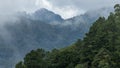 Aerial view forest tree on mountain hill, Rainforest ecosystem and healthy environment concept and background, Texture of green Royalty Free Stock Photo