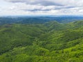 Aerial view forest trees background jungle nature green tree on the mountain top view , forest hill landscape scenery of river in Royalty Free Stock Photo