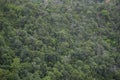 Aerial view forest trees background - jungle nature green tree on the mountain top view , forest landscape scenery of river in Royalty Free Stock Photo