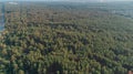 Aerial View Of The Forest, Trees, Summer
