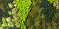 Aerial view of forest vegetation model | background texture