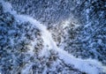 Aerial view of the forest in winter time with footsteps on the trail Royalty Free Stock Photo