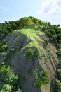 Aerial view of a forested hill with LiDAR GIS data highlighting elevation and canopy height in detailed 3D.