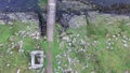 Aerial view of the forgotten pier between Ardfern and Craignish point