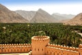 Dates orchard in near the Muscat Royalty Free Stock Photo