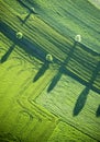 Aerial View : Four trees and shadows in a field