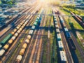 Aerial view of freight cargo trains. Railway station Royalty Free Stock Photo