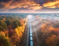 Aerial view of freight train in forest in fog at sunset in autumn Royalty Free Stock Photo