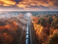 Aerial view of freight train in forest in fog at sunset in autumn Royalty Free Stock Photo