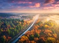 Aerial view of freight train in forest in fog at sunset in autumn Royalty Free Stock Photo