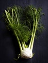 Aerial view of fresh funnel vegetable on black background