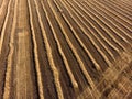 Aerial view of a fresh plowed wheat field