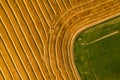 Aerial view of a freshly harvested wheat field. Beauty and patterns of a cultivated farmland from above.