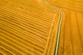 Aerial view of a freshly harvested wheat field. Beauty and patterns of a cultivated farmland from above.