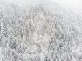 Aerial view of a frosted forest in winter time