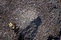 Aerial view of a garbage landfill, trash dump