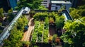 Aerial View of a Garden in a City Royalty Free Stock Photo