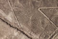 Nazca Lines