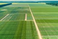 Aerial view of geometric green fields