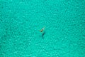 Aerial view of a girl floating in the turquoise sea of the Sakarun beach, Adriatic Sea