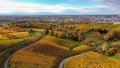 Aerial view of the golden fields of Bradgate Park in the Uk in autumn