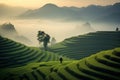 Aerial view of Golden and green terraced rice fields, beautiful China. Two Chinese farmers. Morning fog. Sunrise. Generative Ai