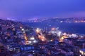 Aerial view of Golden Horn Bay, the capital of Turkey. Royalty Free Stock Photo