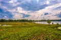 Aerial view of a grass field with reeds. Picture taken by a drone from above scenic landscape with a lake and a water Royalty Free Stock Photo