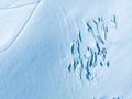 Aerial view of Great Aletsch Glacier, the largest glacier in the Alps and UNESCO heritage Royalty Free Stock Photo