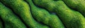 Aerial view of green algae formations creating abstract patterns in a wetland landscape view from above Royalty Free Stock Photo