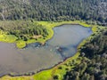 Aerial View of Green Canadian Nature Landscape. Royalty Free Stock Photo