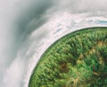 Aerial View Green Coniferous Forest Pines Woods Landscape In Spring Day. Top View Of Beautiful European Nature From High Royalty Free Stock Photo