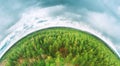 Aerial View Green Coniferous Forest Pines Woods Landscape In Spring Day. Top View Of Beautiful European Nature From High Royalty Free Stock Photo