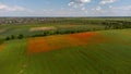 Aerial view of a green field with square part of blooming poppies. Residential buildings in the background