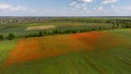 Aerial view of a green field with square part of blooming poppies. Residential buildings in the background. Ukraine