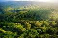 Aerial view of green fields on Kauai, Hawaii Royalty Free Stock Photo