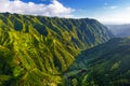 Aerial view of green fields on Kauai, Hawaii Royalty Free Stock Photo