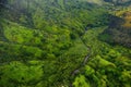 Aerial view of green fields on Kauai, Hawaii Royalty Free Stock Photo