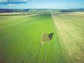 Aerial view green fields with lonely tree and forest Royalty Free Stock Photo