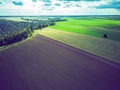 Aerial view green fields with lonely tree and forest Royalty Free Stock Photo