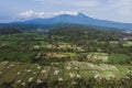 Aerial view of green fields green rice and corn fields in Bali, Indonesia Royalty Free Stock Photo