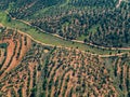 Aerial View Green Fields with Trees Royalty Free Stock Photo