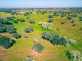 Aerial View Green Fields with Trees Royalty Free Stock Photo
