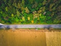 Aerial view of green forest asphalt road. Aerial view car truck drive going through forest. Royalty Free Stock Photo