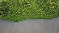 Aerial view a spring green forest and an asphalt road. Photo from the drone Royalty Free Stock Photo