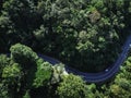 Aerial view green forest and asphalt road, Top view forest road going through forest with car adventure