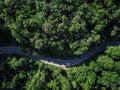 Aerial view green forest and asphalt road, Top view forest road going through forest with car adventure Royalty Free Stock Photo