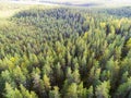 Aerial view of a green forest. Beautiful landscape. Clouds over the green forest. Aerial bird`s eye trees. Aerial top view forest. Royalty Free Stock Photo