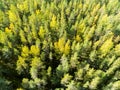 Aerial view of a green forest. Beautiful landscape. Clouds over the green forest. Aerial bird`s eye trees. Aerial top view forest. Royalty Free Stock Photo