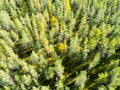 Aerial view of a green forest. Beautiful landscape. Clouds over the green forest. Aerial bird`s eye trees. Aerial top view forest Royalty Free Stock Photo